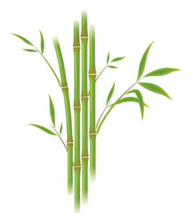 bambou2.png